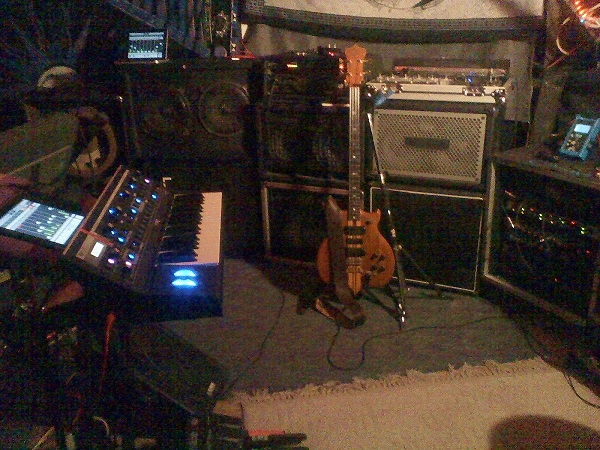 Bass_Moog_Rig_2014.jpg