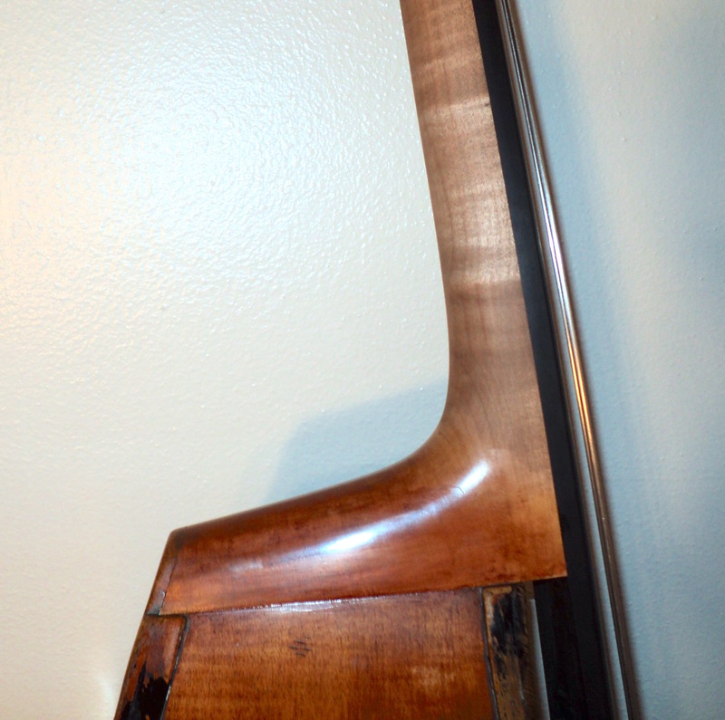 Bass_Neck1.jpg