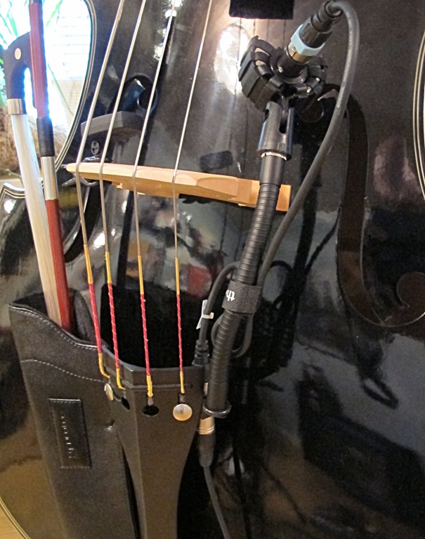 bass_on_stage_cable_mount_1.jpg