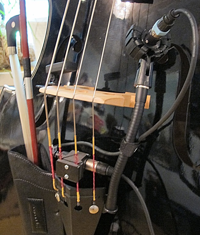 bass_on_stage_cable_mount_2.jpg