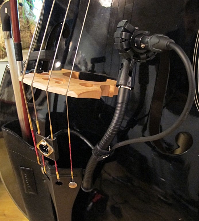 bass_on_stage_cable_mount_3.jpg
