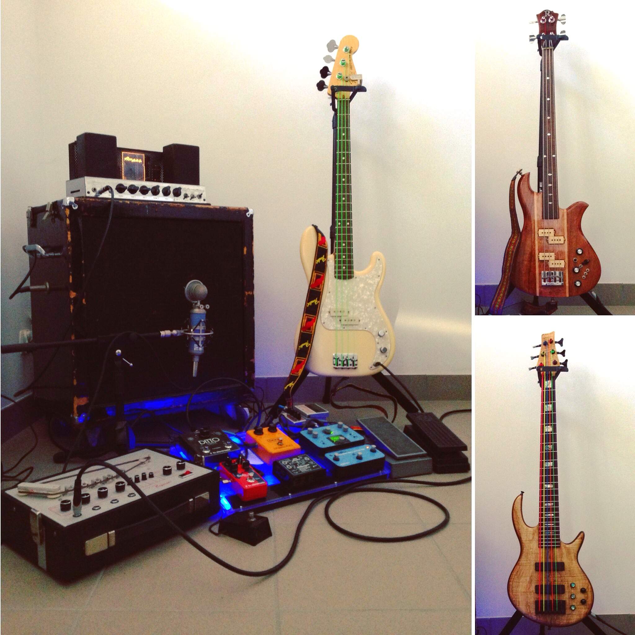Bass_Rig.jpeg