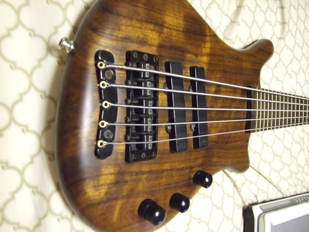 Bass_Rig_Pics247.jpg