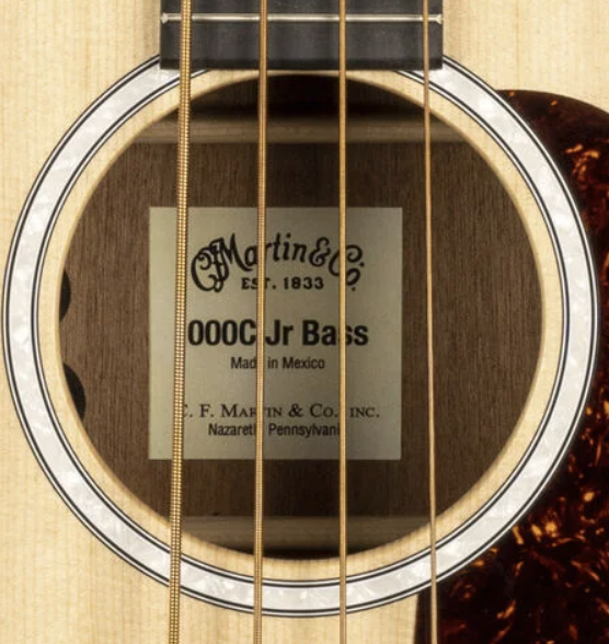 Bass_t.png