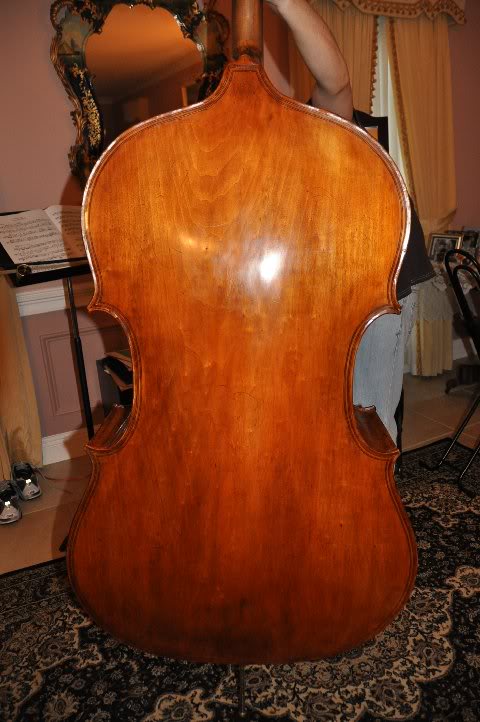 BassBack.jpg
