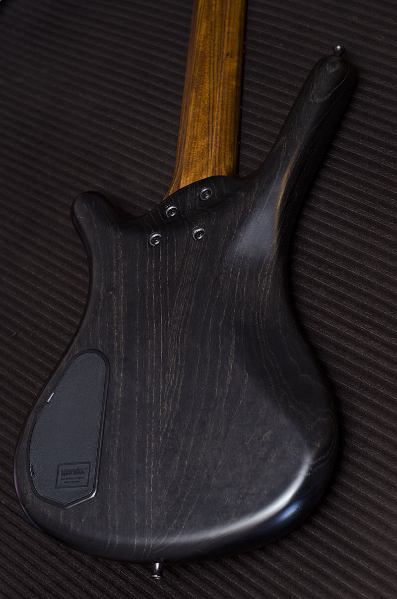 BassBack.jpg