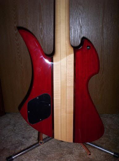bassback.jpg