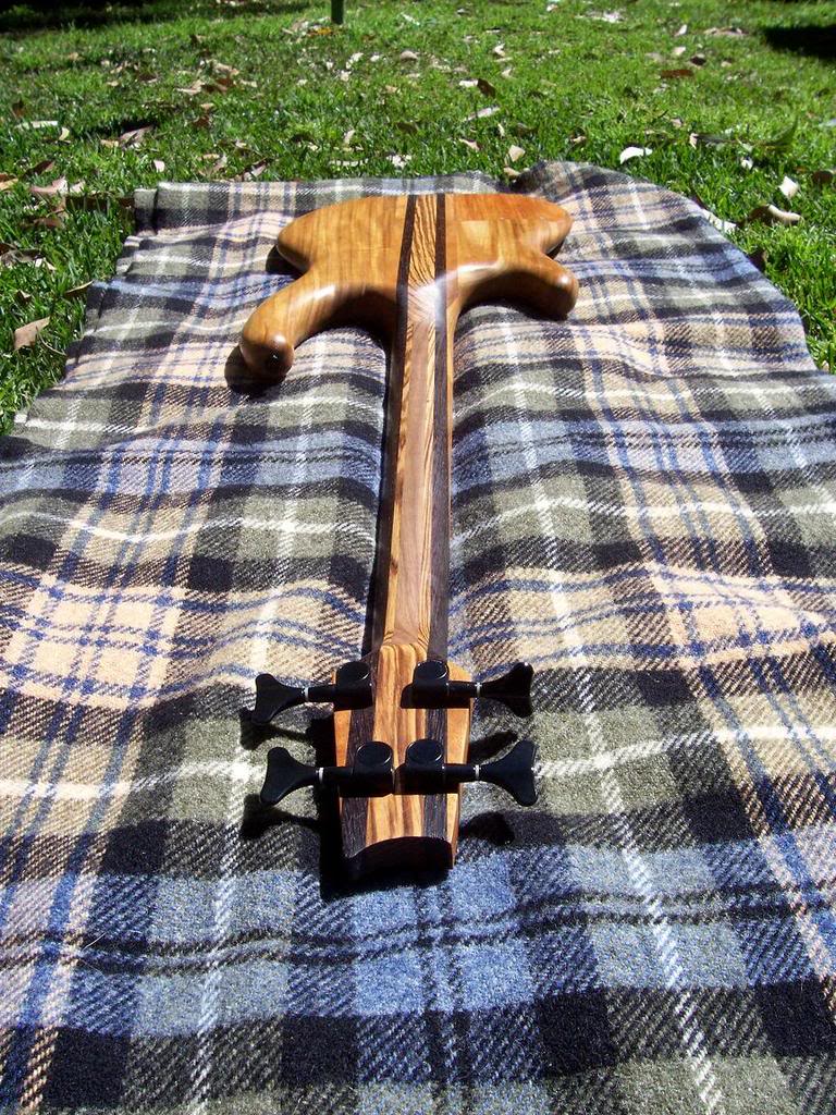bassbackofneck.jpg