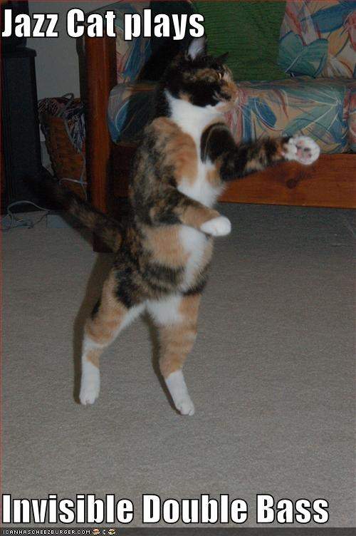Basscat1.jpg