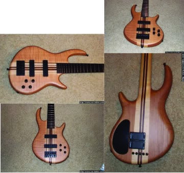 bassCollage.jpg