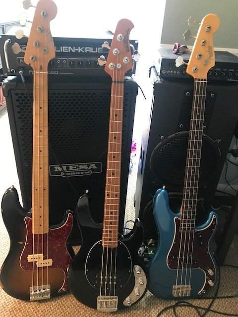 Basses 2.jpg