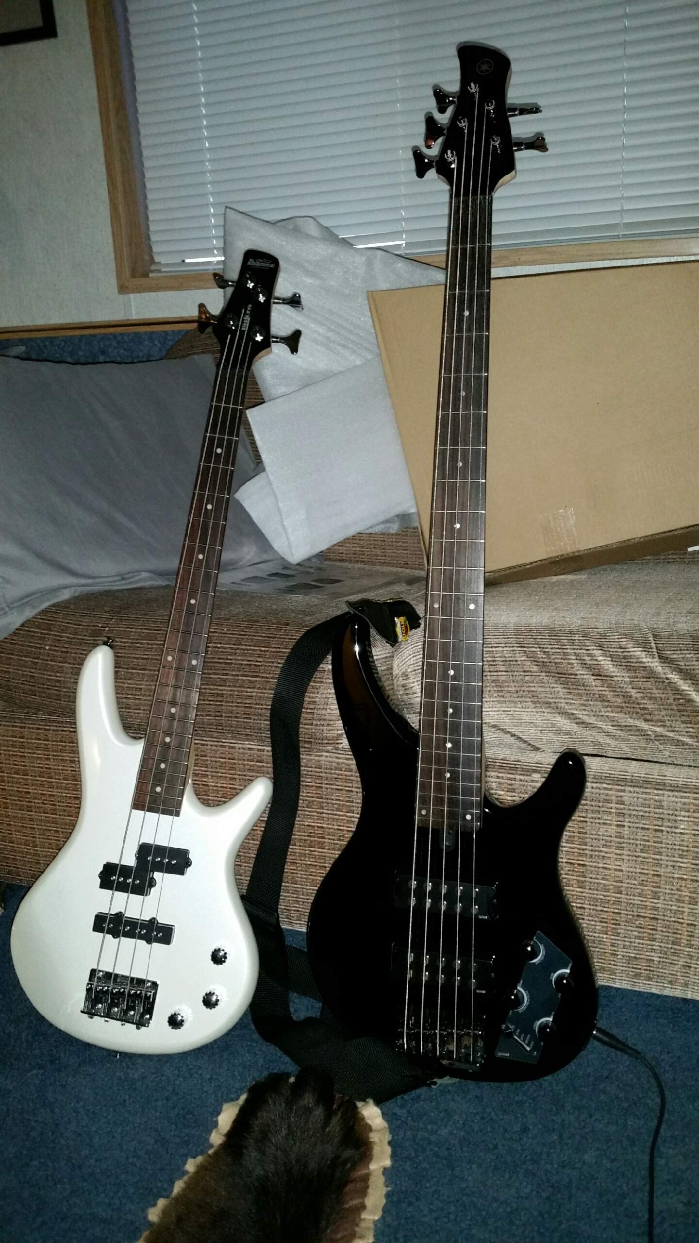 basses.jpeg