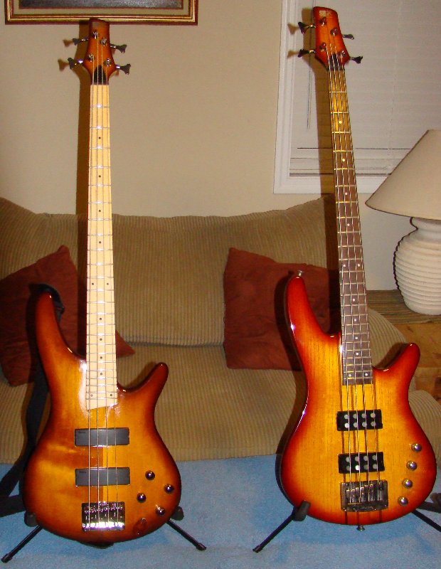 Basses.jpg
