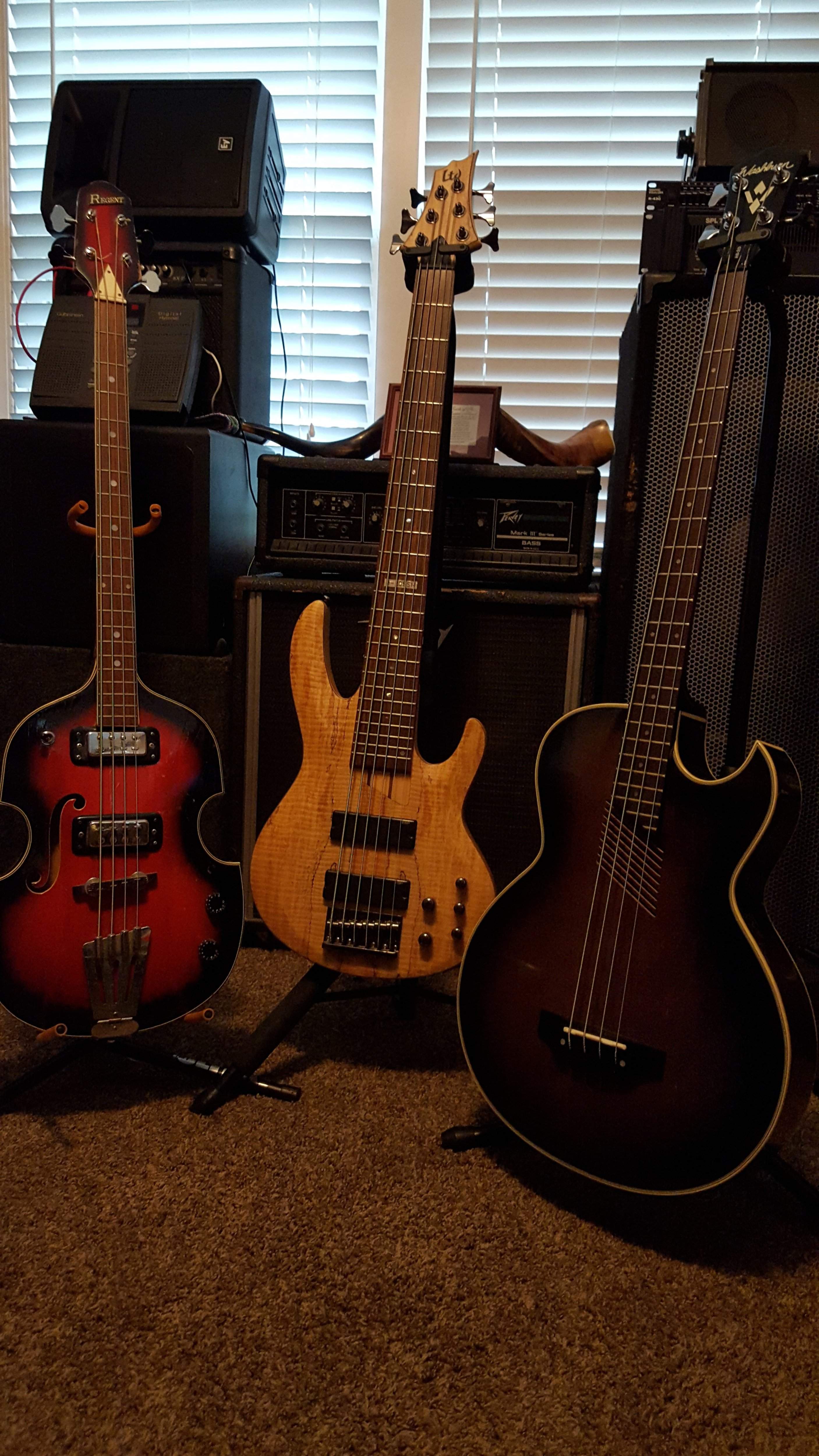 Basses.jpg