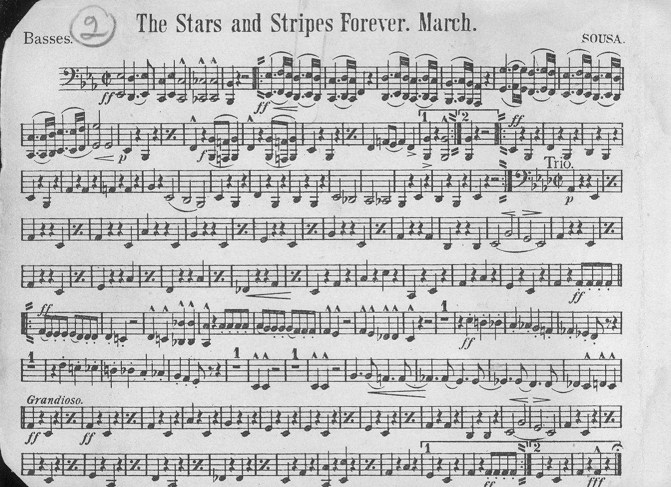 Basses.jpg