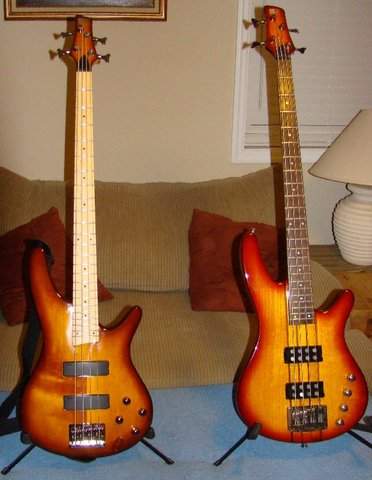 Basses.jpg