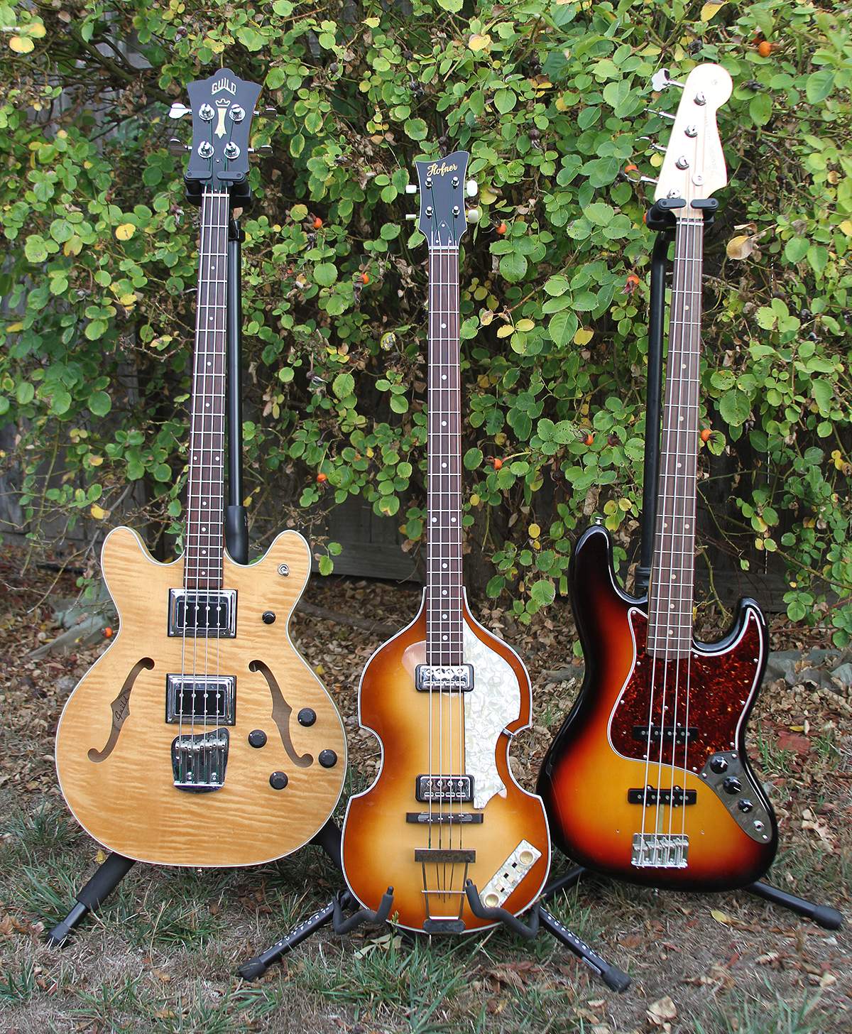 basses.jpg