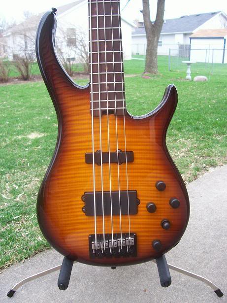 Basses002.jpg