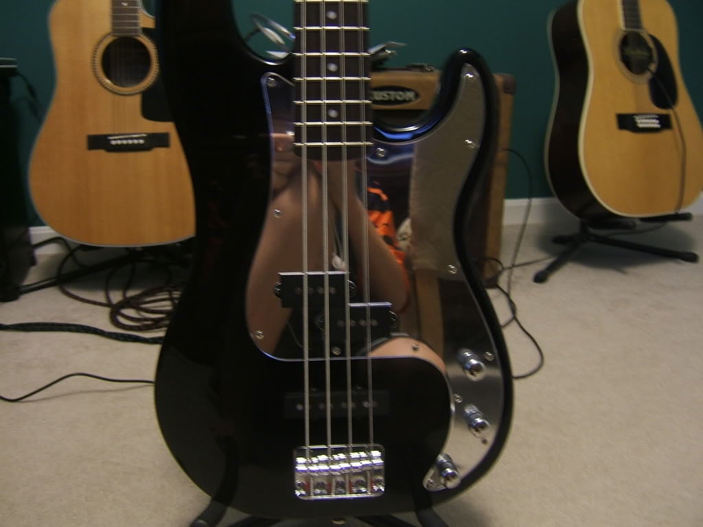 Basses003.jpg
