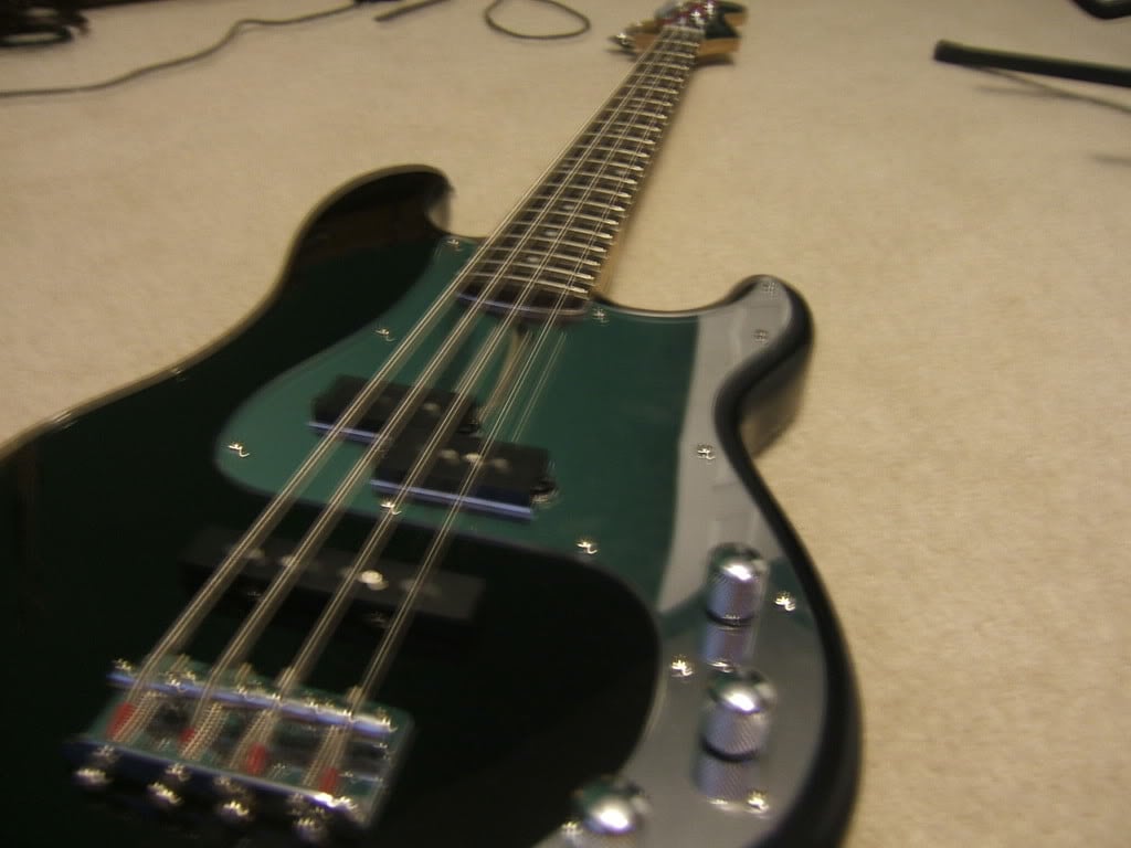 Basses004.jpg