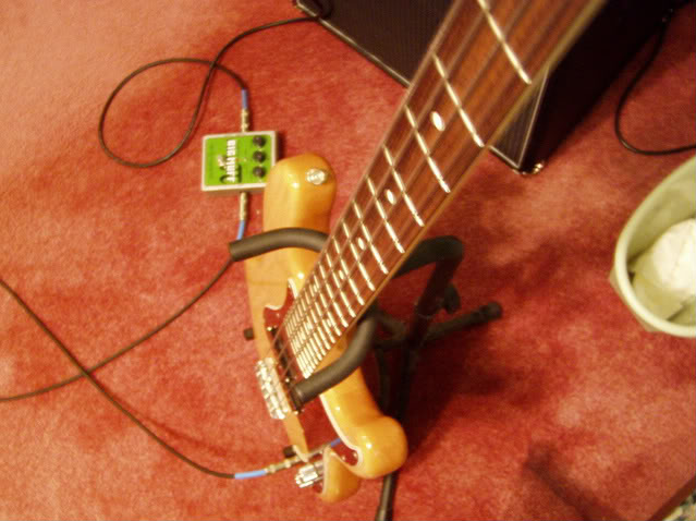Basses005.jpg