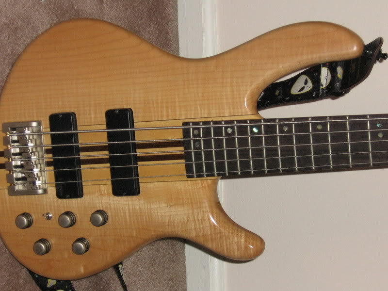 BASSES015.jpg