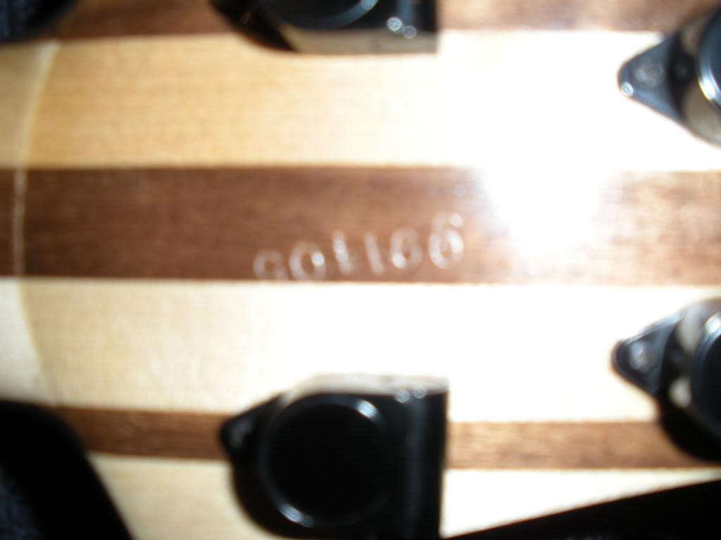 Basses020.jpg