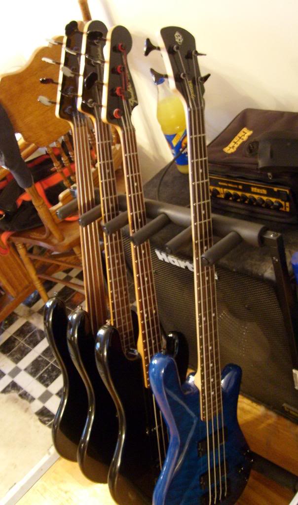 Basses023.jpg