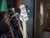 basses024.jpg