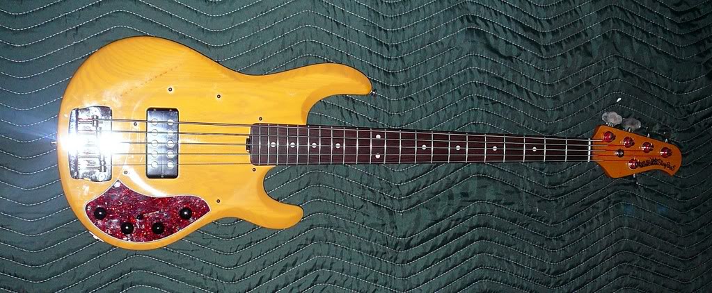 Basses07037.jpg