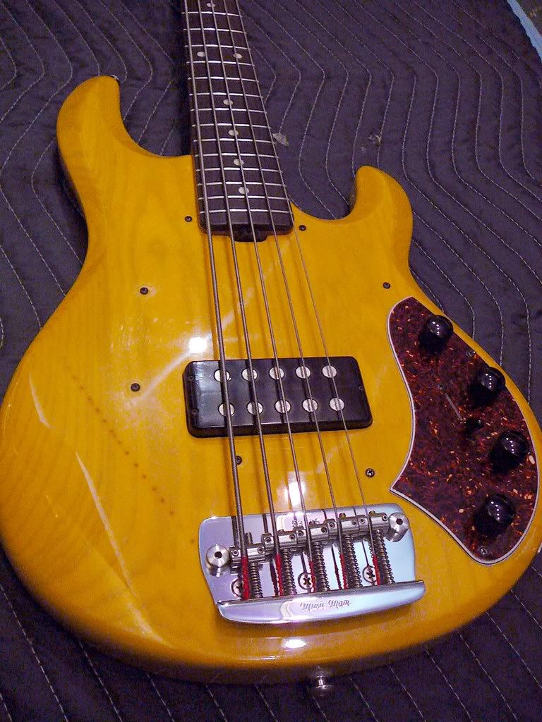 Basses07045.jpg
