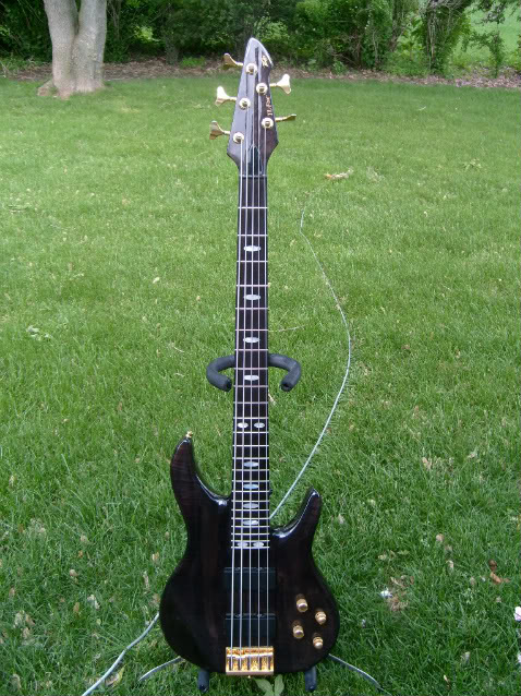 basses08003.jpg