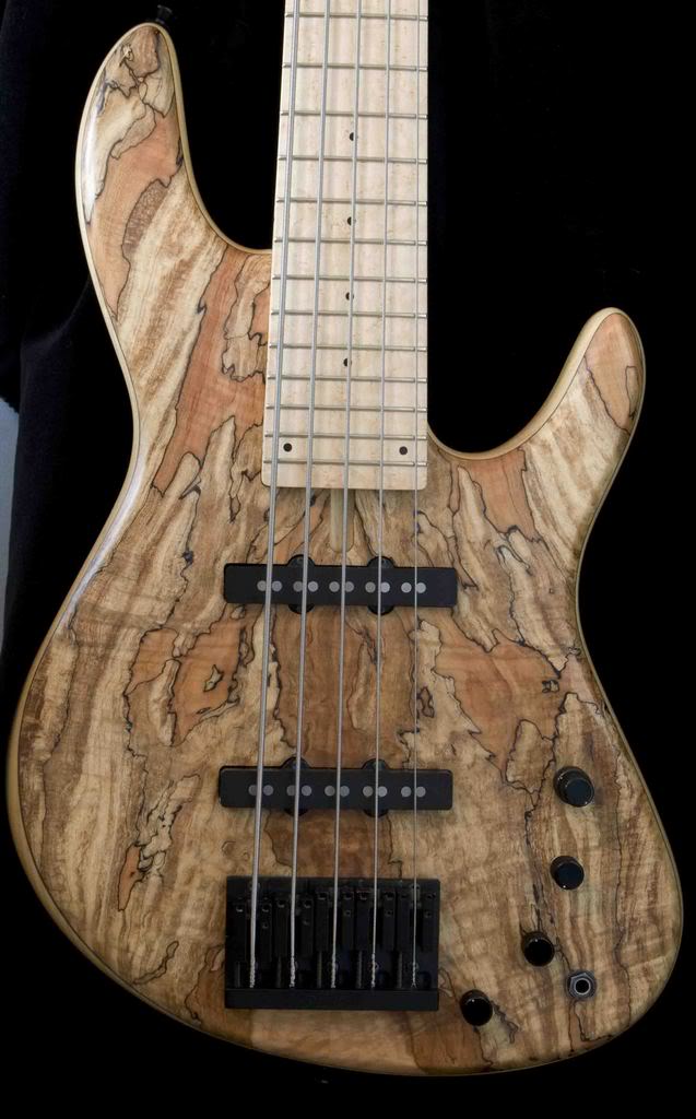 basses1684_1.jpg