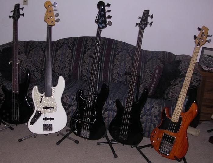 Basses2008-06b.jpg