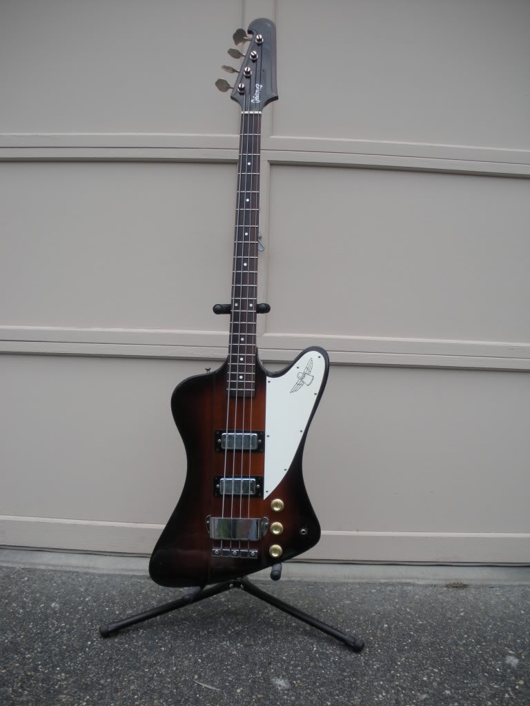 basses2009.jpg