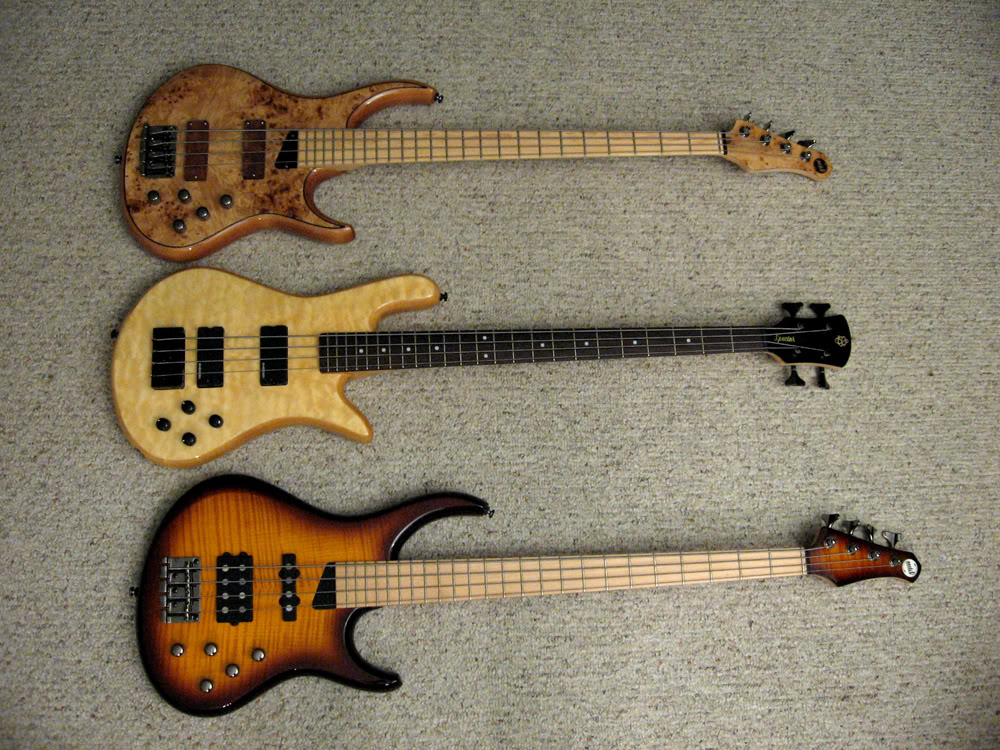 Basses81809-2sm.jpg
