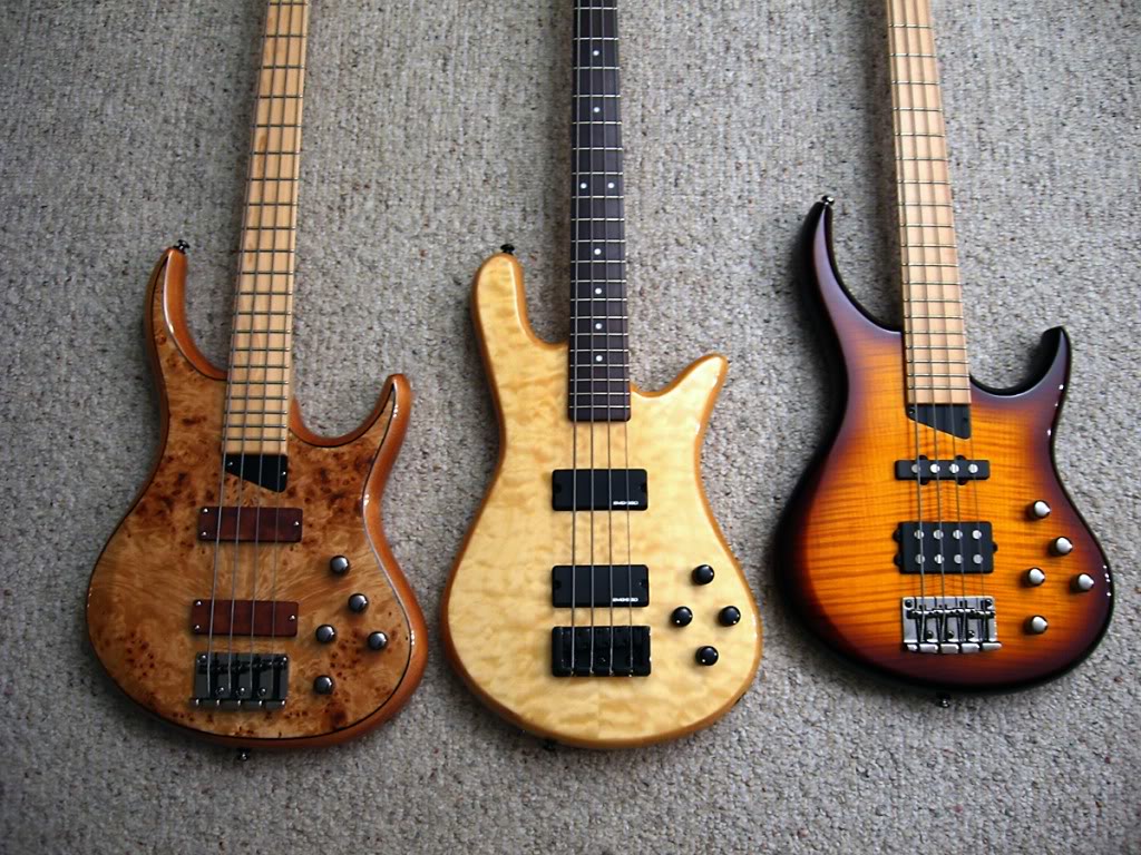 Basses81809SM.jpg