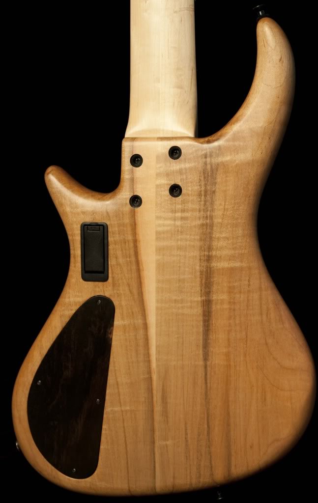 basses_0502.jpg