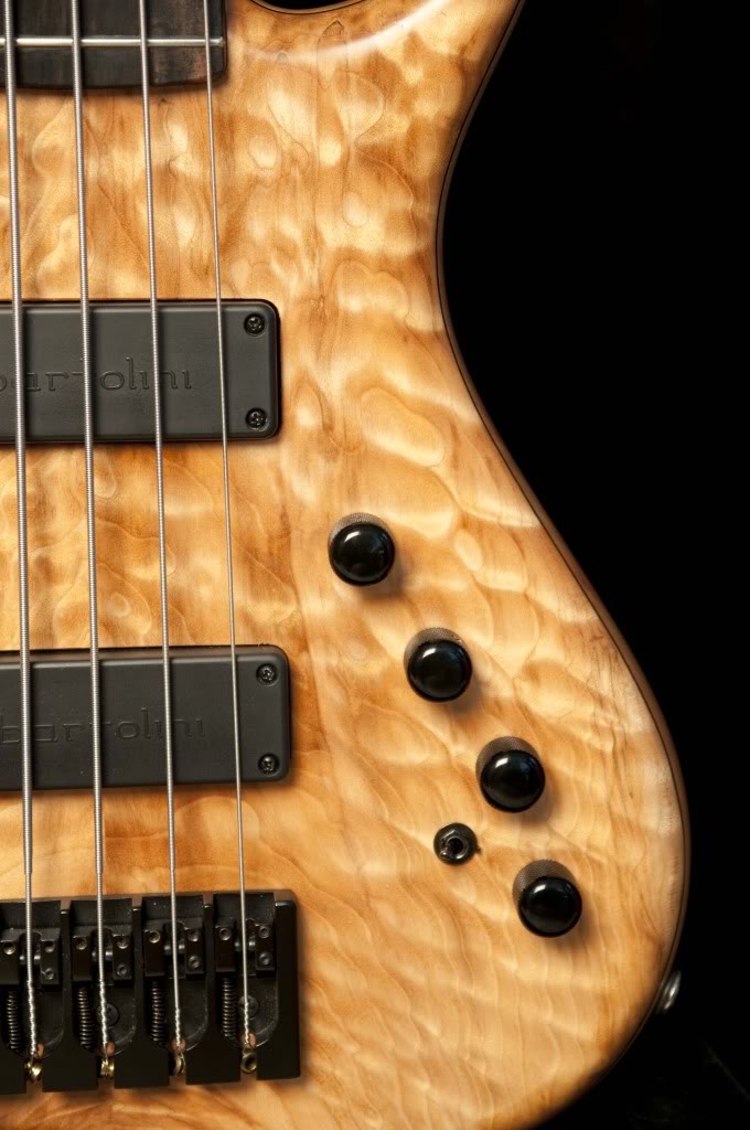 basses_0504.jpg