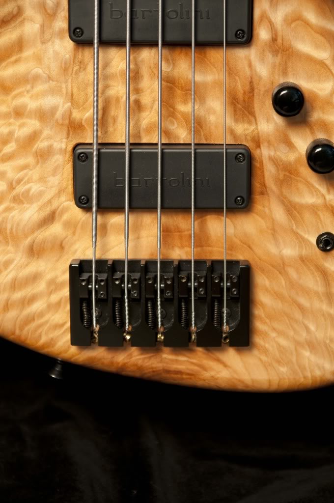 basses_0505.jpg
