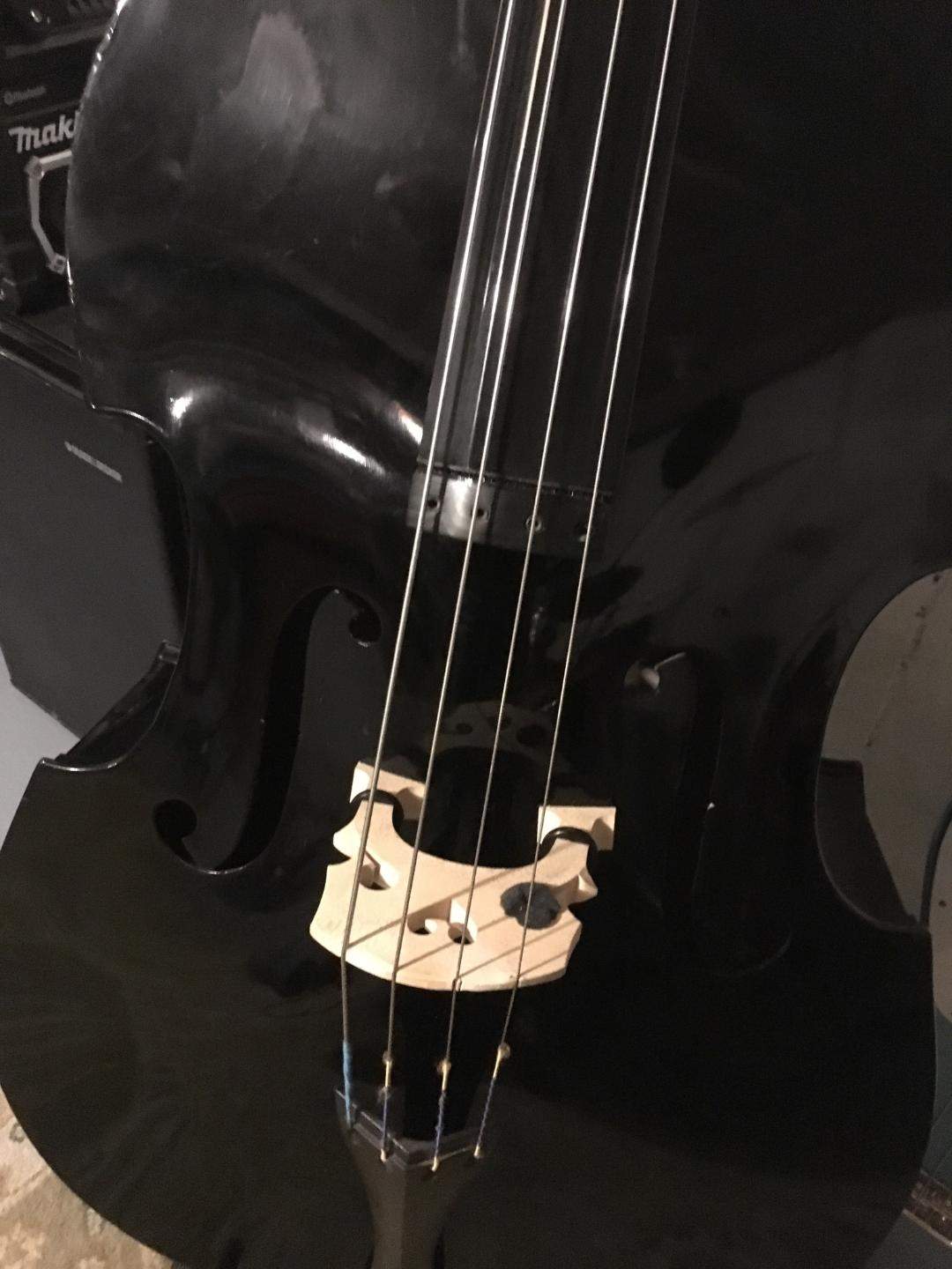 bassface.jpg