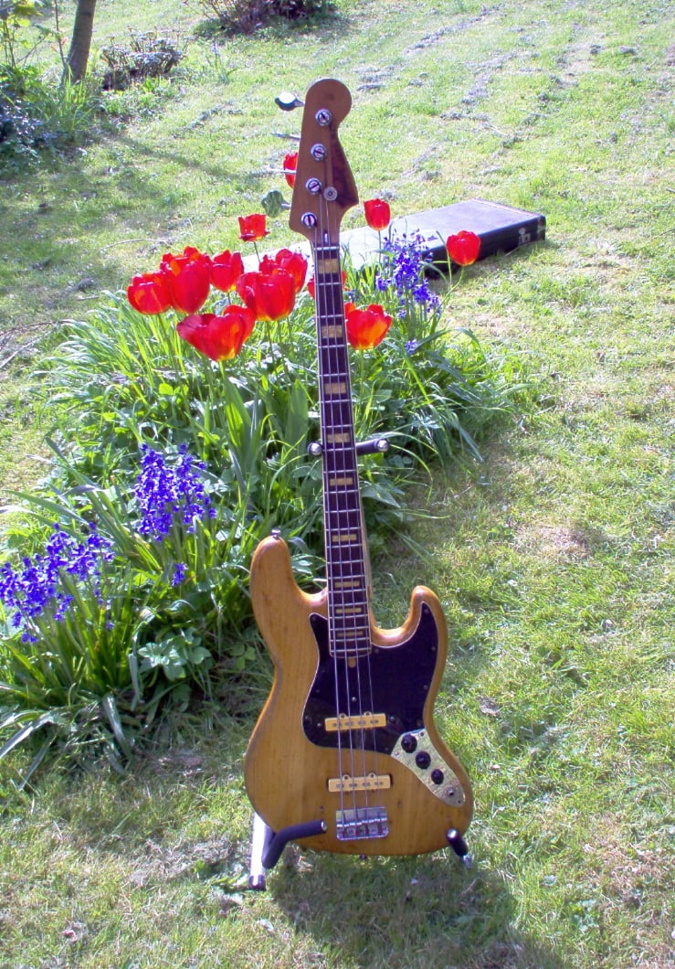bassflowers.jpg