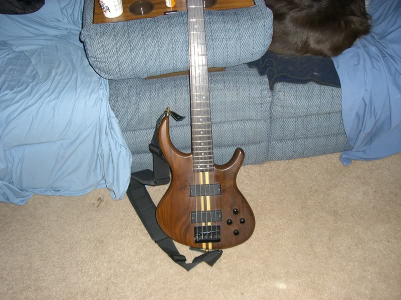 bassfolder005.jpg