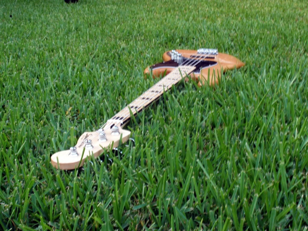 bassguitar1.jpg