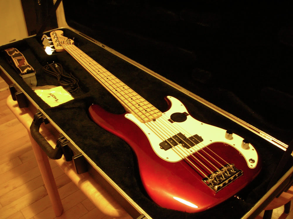 Bassincase.jpg