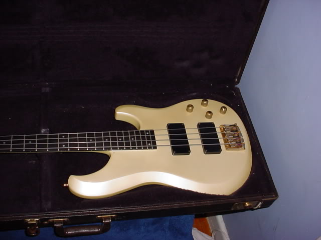 Bassincase1.jpg