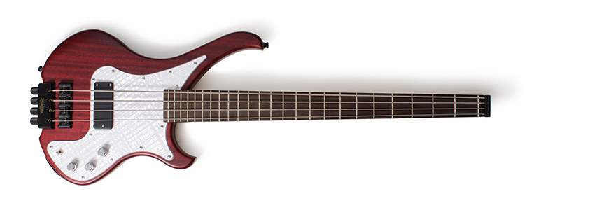 Bassline_Bustiny_4_pickguard.jpg