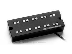 basslines-nyc-5.jpg