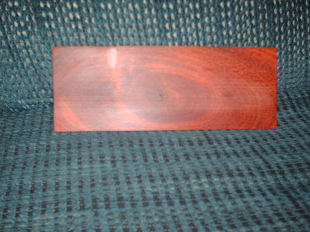 bassluthierproject2046.jpg