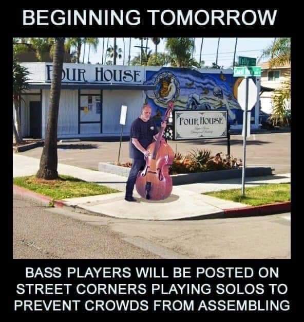 bassmeme.jpg